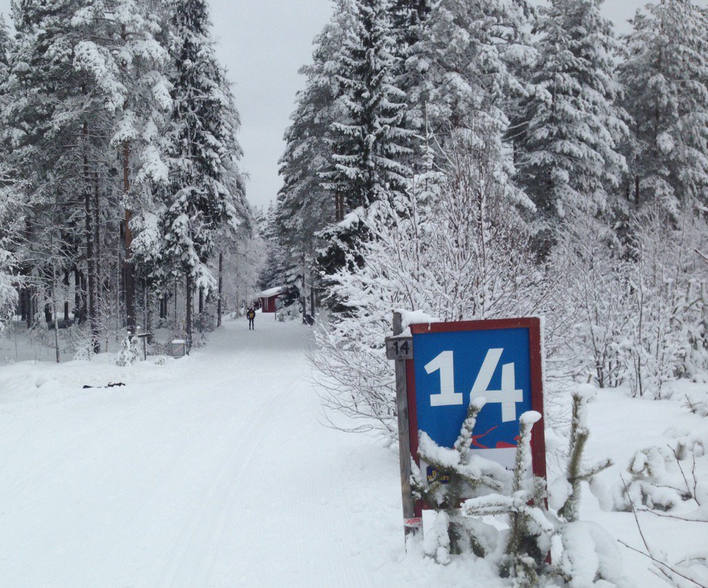 Vasaloppet course this morning. Fast snow all the way