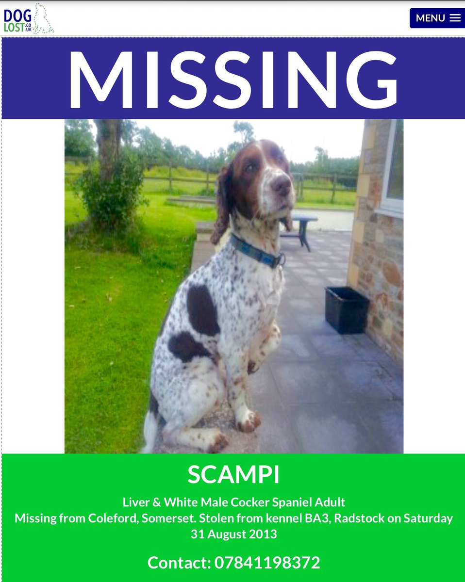 DogLostUK's tweet photo. SCAMPI still missing MICROCHIPPED 
#somerset @DoglostUK https://t.co/ixb4HVXaZ0 … … #ScanMe pls RT 
 https://t.co/99oT7Ivo8z