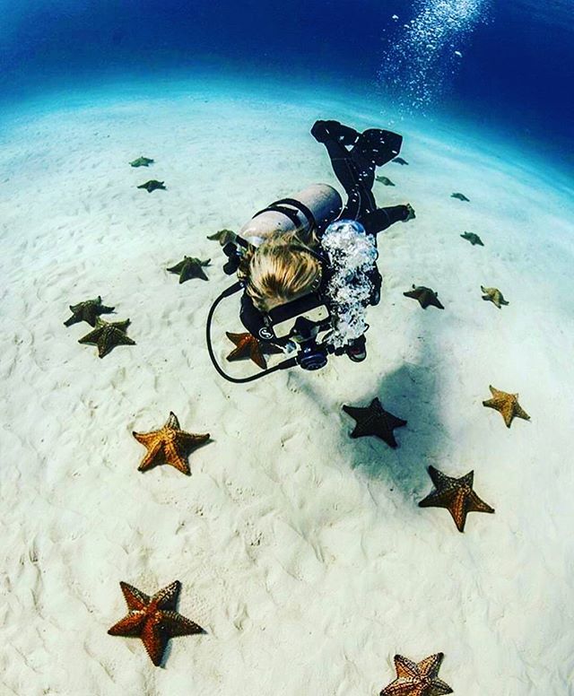 starfishstuff's tweet photo. I dunno who's she... but this is happiness!! .
.
.
#beach #sun #nature #water #InstaTags4β¦ https://t.co/dsNYj8ZLqN https://t.co/9imAG3afOr