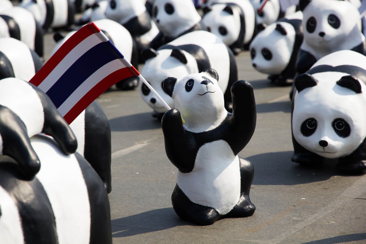 KParchYVR's tweet photo. #1600pandasplusth #1600pandasworldtour #wwf #photos #centralembassy #bangkoktourismdivision https://t.co/qddOcBn11K https://t.co/5pcxhw0e3y