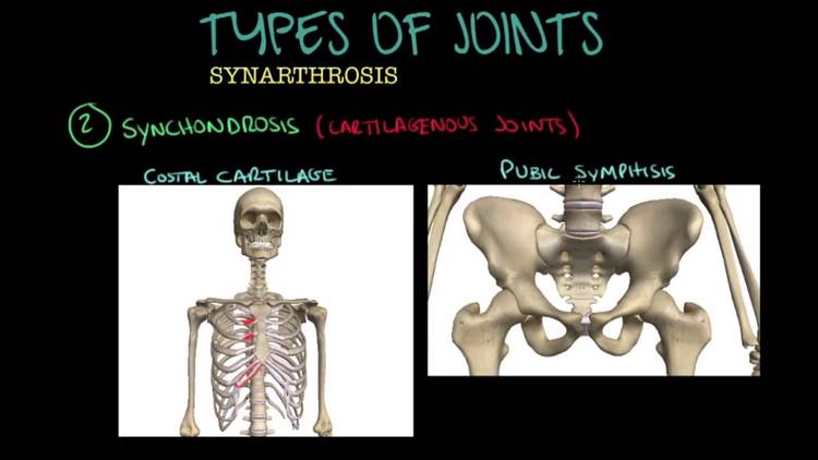 Jason Chiu tweet media