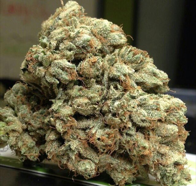 pics_bud's tweet photo. Death Star OG hybrid strain https://t.co/r9vt6HoSd3