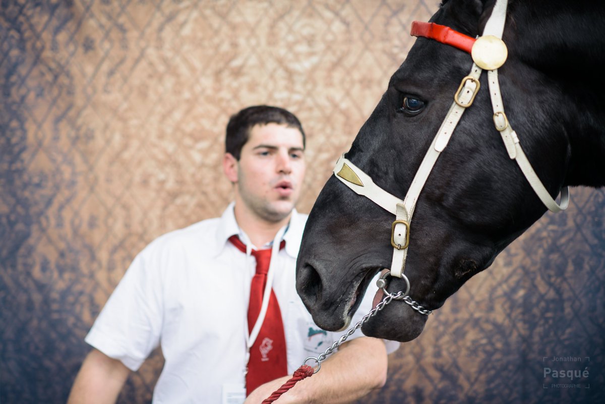 Portrait du jour au #SIA2016 dans la série « Métiers à tisser » au salon de l’agriculture
> francetv.in/MetiersATisser