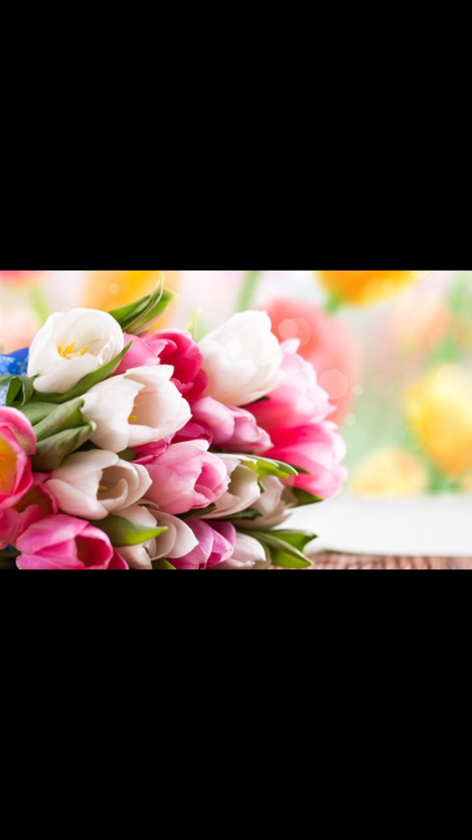KWNOF_hotmail's tweet photo. استغفرالله وأتوب إليه 🌺
استغفرالله وأتوب إليه🌺
استغفرالله وأتوب إليه🌺 https://t.co/LaP3sH36z6