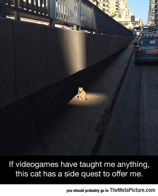 ReviewerGames's tweet image. Guess video games have taught me so well themetapicture.com/guess-video-ga… via @MetaPicture #videogames