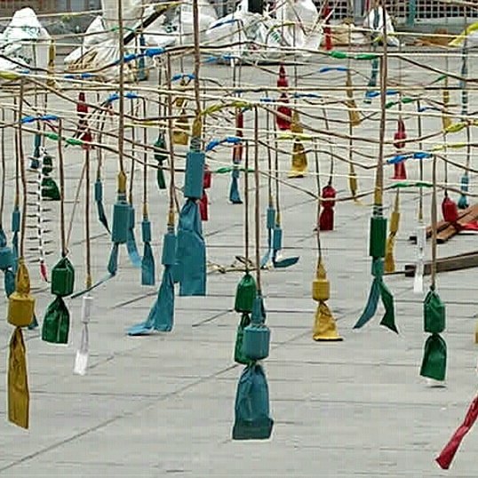 Maricarmen Marcos (@jorgeydavidm) on Twitter photo 