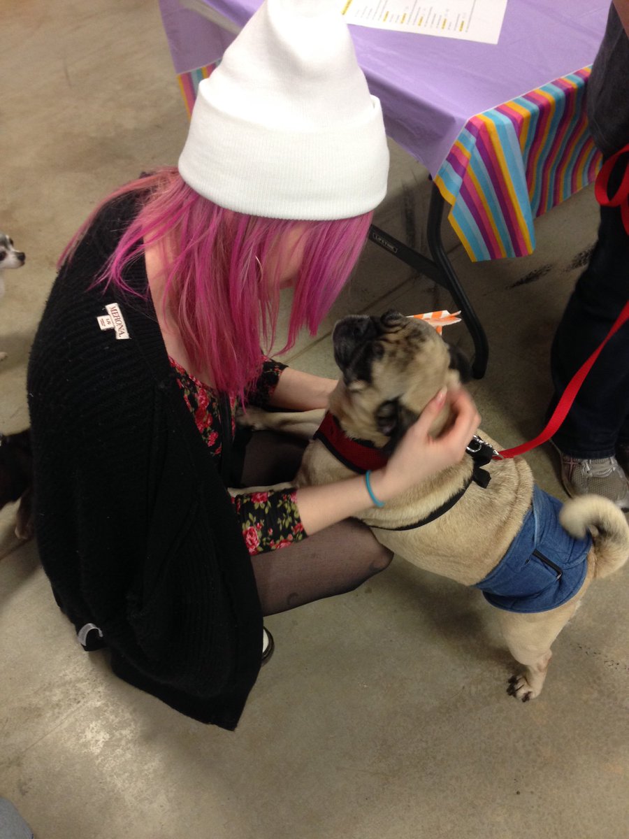 angstygoth's tweet photo. 💗🐶👸🏼💗 https://t.co/Wc2SjKglDG