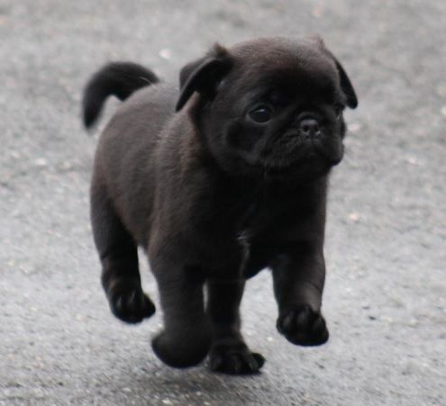 making my way downtown, walking fast, faces pass and i'm homebound