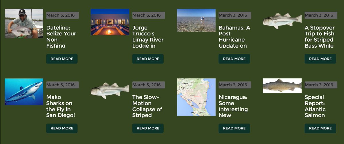 The Fishing Report tweet media