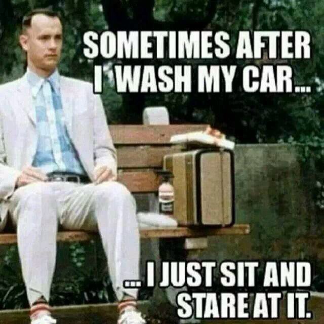 StangShoutouts's tweet image. #MustangProblems