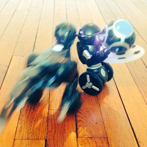 MeetCHiPK9's tweet photo. Arf, arf!! Back off, MiPosaur, or CHiP will have to come to MiP's rescue! #CHiPK9 #GetCHiP https://t.co/O3cCQaiOqW