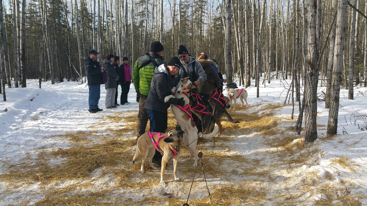 ANP_PhotoTours's tweet photo. It's a great morning here with @mushmcmurray @McMurrayTourism and  our Korean friends on the trails in #YMM https://t.co/tOj2kqxlVa