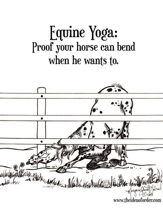 rustystirrup's tweet photo. Too funny! https://t.co/4dAcYpUEpb #horsehour #equestrianhour https://t.co/CNIaltHgcc