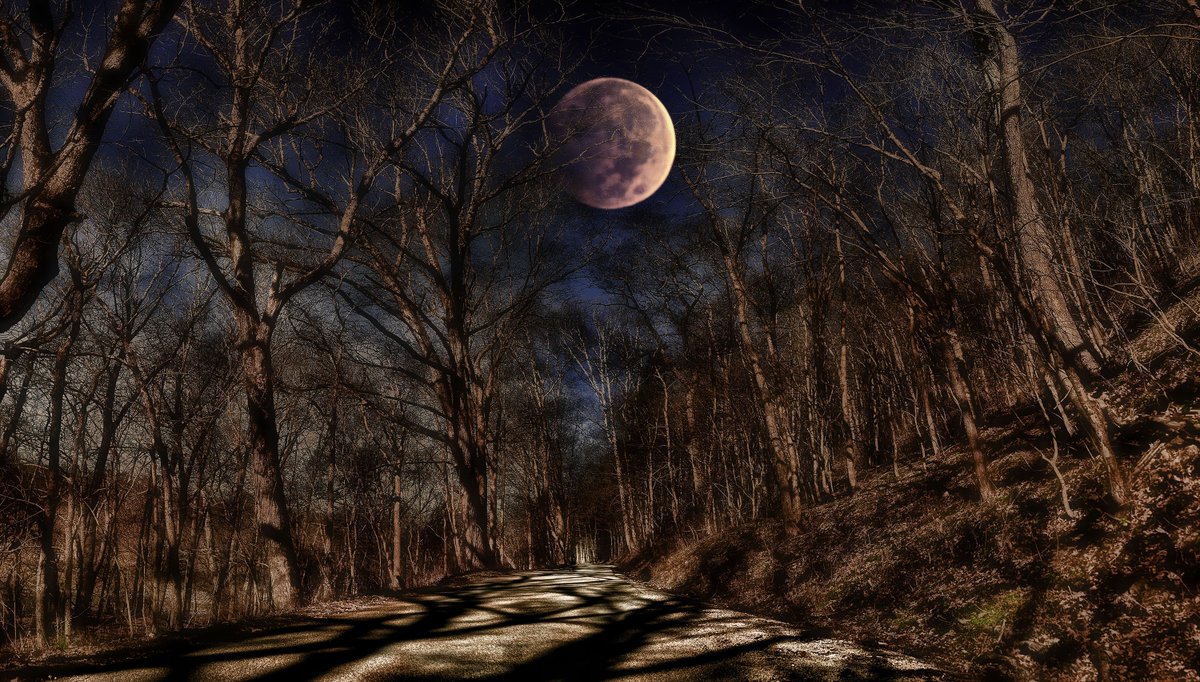 Croake Station Rd. between #SpringfieldKY and #FredericktownKY #KYTravel