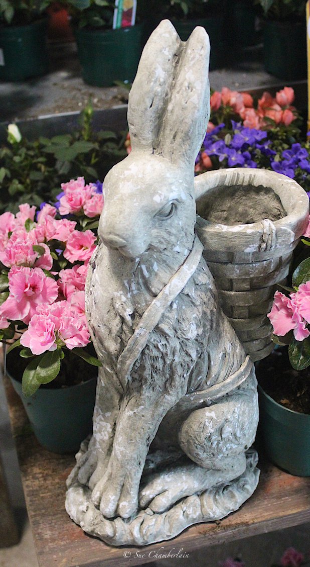 The Barn Nursery On Twitter Every Garden Needs A Bunny It S