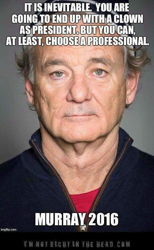 MarshWhisperer's tweet photo. #Murray2016 #VoteForMurray #ImWithBill #BillMurray @BillMurrayToo @BiIIMurray @vote4murray https://t.co/qJQPAoRu5i