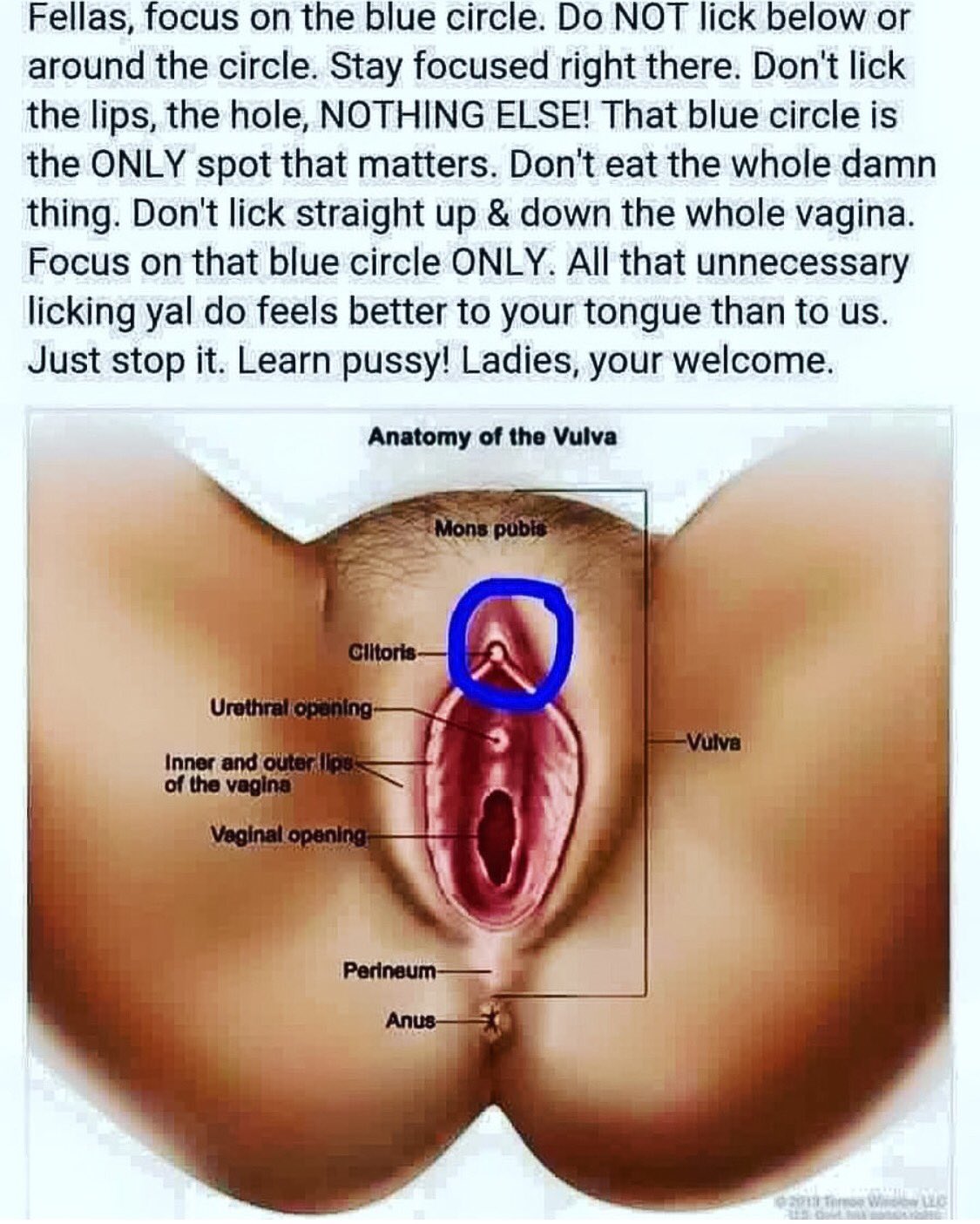 𝕁𝕒𝕚𝕕𝕒 𝕃𝕠𝕡𝕖𝕫 💎 on X: EATING PUSSY 101. 🍑👅😋😏 For all the  Fellas & Ladies who eat The Pretty Peach, please take notes, thank you! 📝 # Pussy t.coyuBSgXPOJD  X