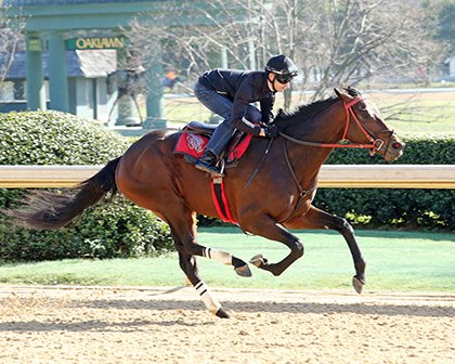 BH_AEberhardt's tweet photo. Workers today @Oaklawn are likely #Rebel runners #AmericanDubai and #Suddenbreakingnews @CoadyPhoto @ABRLive https://t.co/XZPxuTTI2b