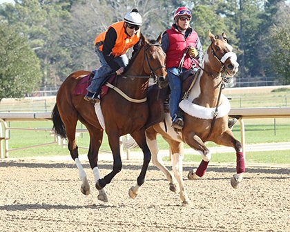 BH_AEberhardt's tweet photo. Workers today @Oaklawn are likely #Rebel runners #AmericanDubai and #Suddenbreakingnews @CoadyPhoto @ABRLive https://t.co/XZPxuTTI2b