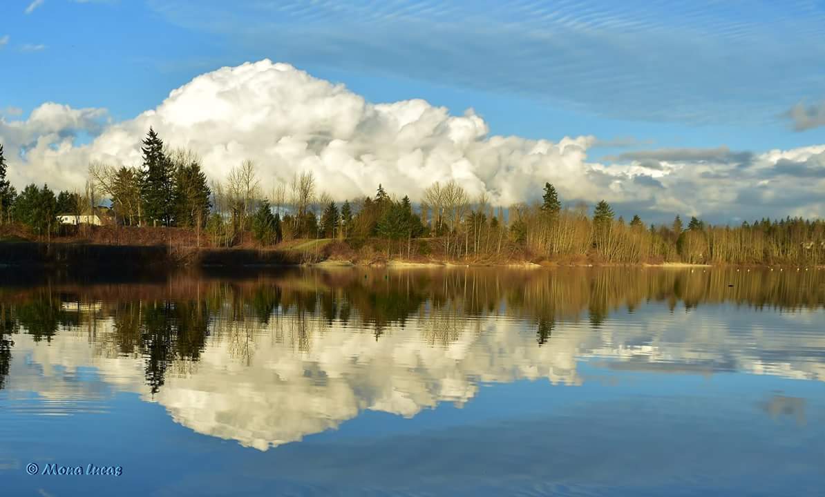 MonaLucas_Photo's tweet photo. Puffy cloud reflection.
Albert Dyck Pk @TourismAbby 
@SouthofFraser @fraservn @thefraservalley @Valley_Buzz @FVRD1 https://t.co/EI28tcZLju