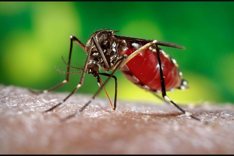5 Things To Know About The Zika Virus...
m.youtube.com/watch?v=TEsHTy…