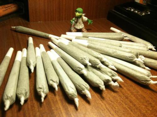 pics_bud's tweet photo. Rt for joints fav for blunts https://t.co/qc4l1sHcHx