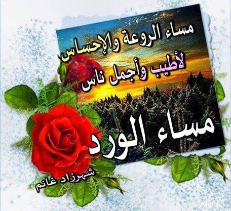 hhatm4801______'s tweet photo. @allord1968 https://t.co/6xQzqWxkHk