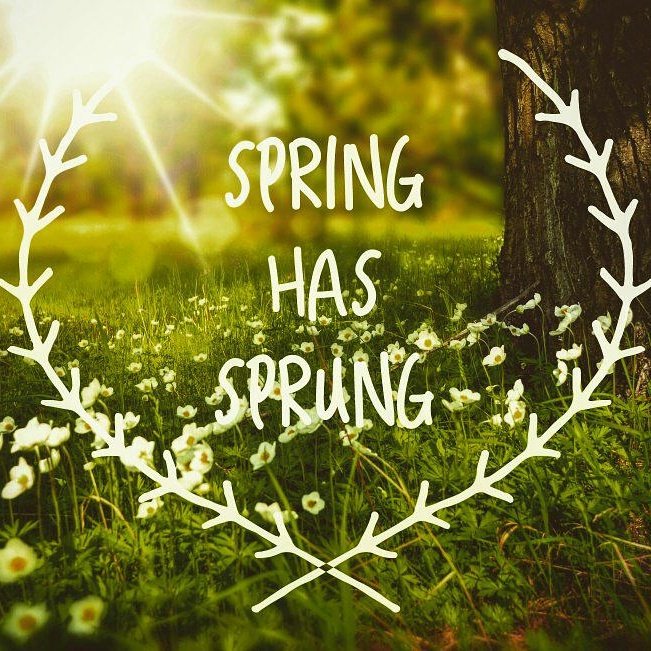 Escape_Travel's tweet photo. Enjoy the 1st day of spring! Escape Travel - the official travel company of spring #wonderlusts. https://t.co/myzCajnAoW