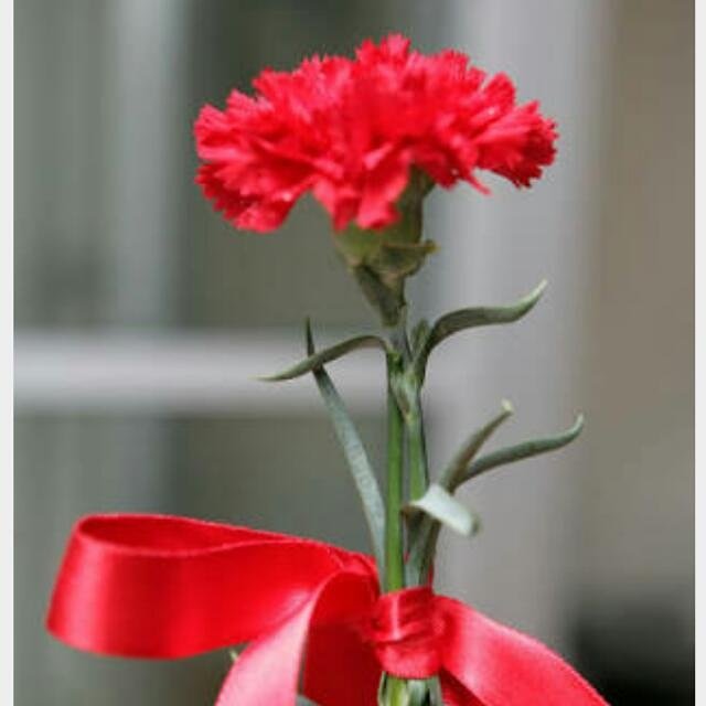 NurdanSonal's tweet photo. https://t.co/DDsiJ9abe8