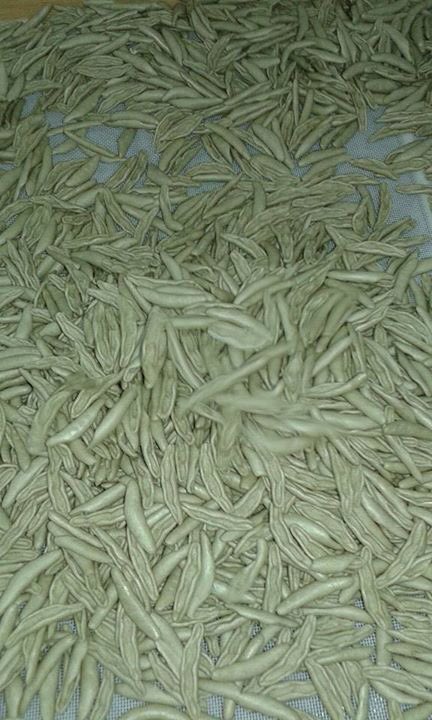 WeAreExport's tweet photo. Burned wheat #pasta ? Pastificio Andreola is the solution! Very Good products! #Puglia @ItsFoodPorn @foodandwine https://t.co/uOHme70Jp4