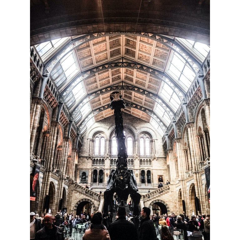 RoadyMag's tweet photo. History filled places #London #natural #history #waitingforthebluewhale #nyc 🐋 #sunday https://t.co/kML4fDkjgM