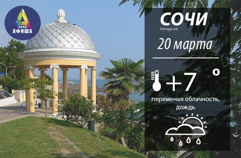 Афиша сочи январь 2024