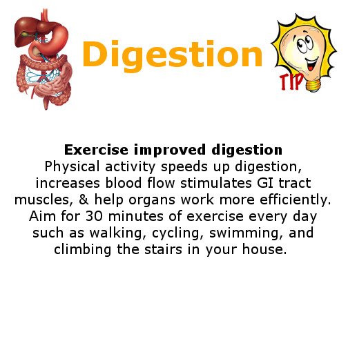 digestionsystem's tweet photo. #Digestion, #Metabolism, #Tips https://t.co/mIfXkKmMIz