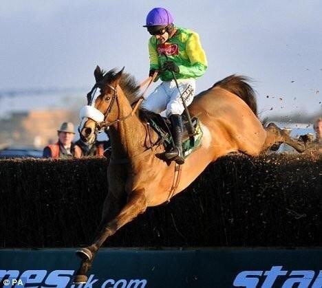 Kauto Star Legend tweet media