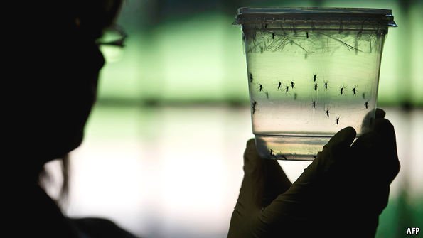 TheEconomist's tweet photo. Global pandemics are becoming more common. It's time to fund neglected research https://t.co/LUnkyoY0K7 https://t.co/bmUPbHl4Wg