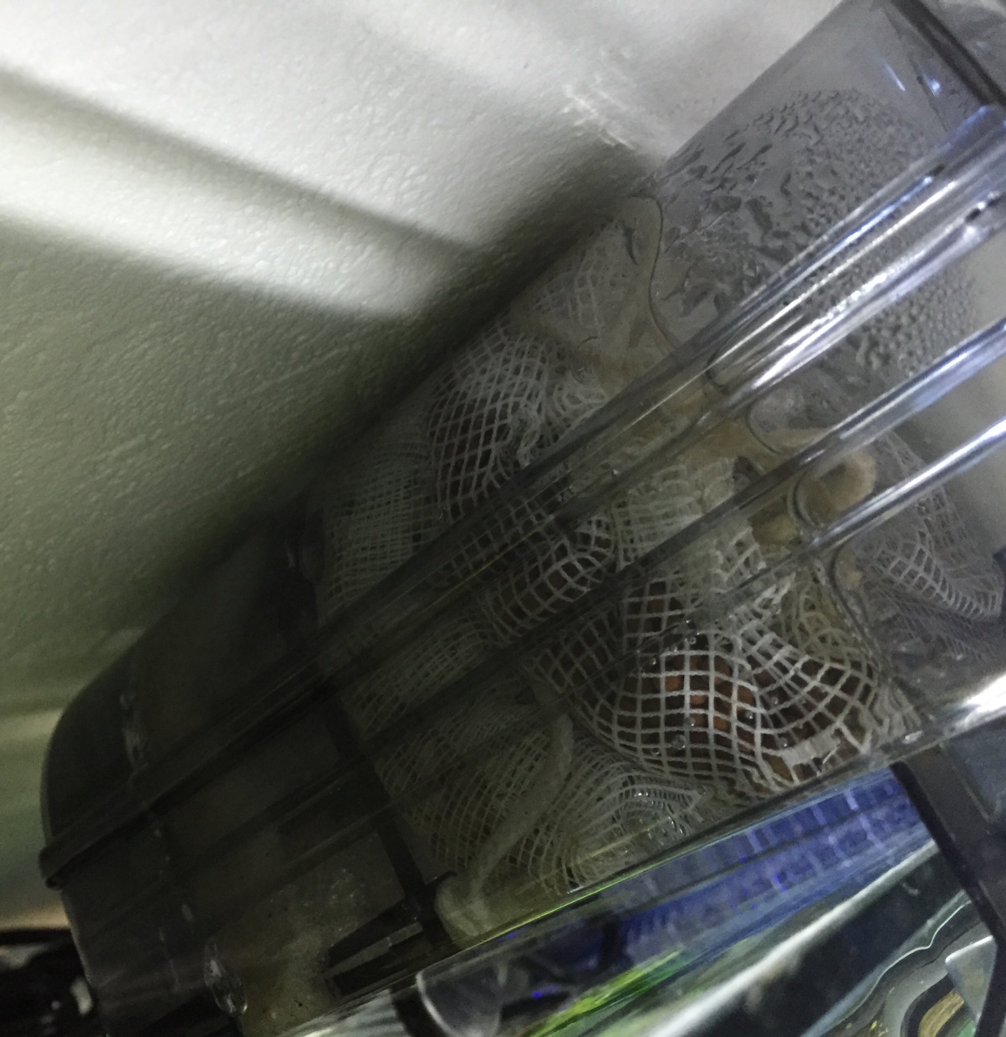 外掛けフィルター Twitter Search Twitter