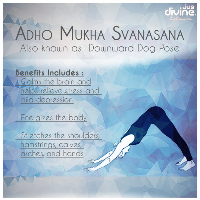 JusDivineJuices's tweet photo. Understanding the art of Yoga. #DailyDivineGyaan Tell us about your favorite yoga pose in the comment section below https://t.co/KDWD1fSYXD