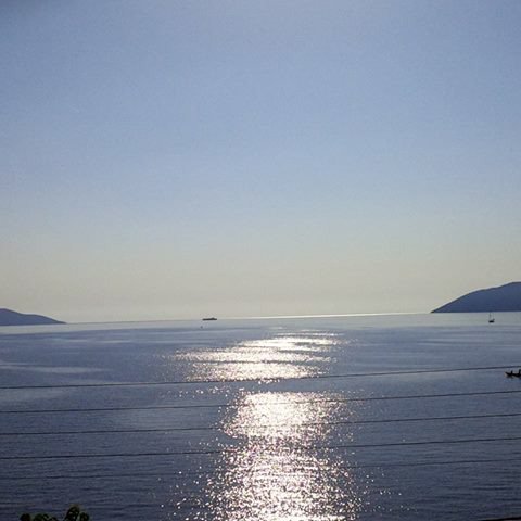 weareBHTA's tweet image. Enjoy your Sunday and may "sun" shine long in your day.  Have a good one