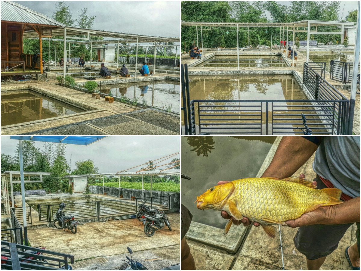 Pemancingan Sewa Tempat
olx.co.id/iklan/pemancin… #SeputarCimahi <a href="/CimahiCity/">Cimahi City Guide</a>