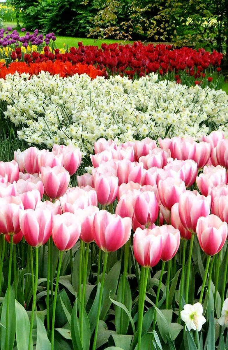 IlarioScabello's tweet image. @JenaC2 @HeidiStea @ElektraButler @ArroundNet @brightzilian buona domenica, grazie x i Rt, ciao ragazze 😉🙋