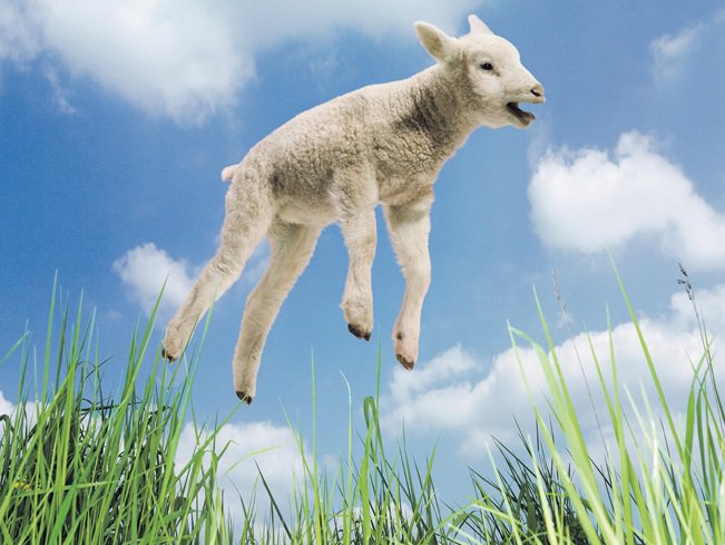 Joehoe! Het is lente!
Krijgt u ook al tuin/voorjaarskriebels?
We zijn vandaag geopend van 10:00 tot 17:00!!