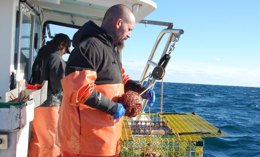 Another great assignment! #WinterFishing #LobstersFromMaine #WorkingWaterfront 
bit.ly/1TToxV8