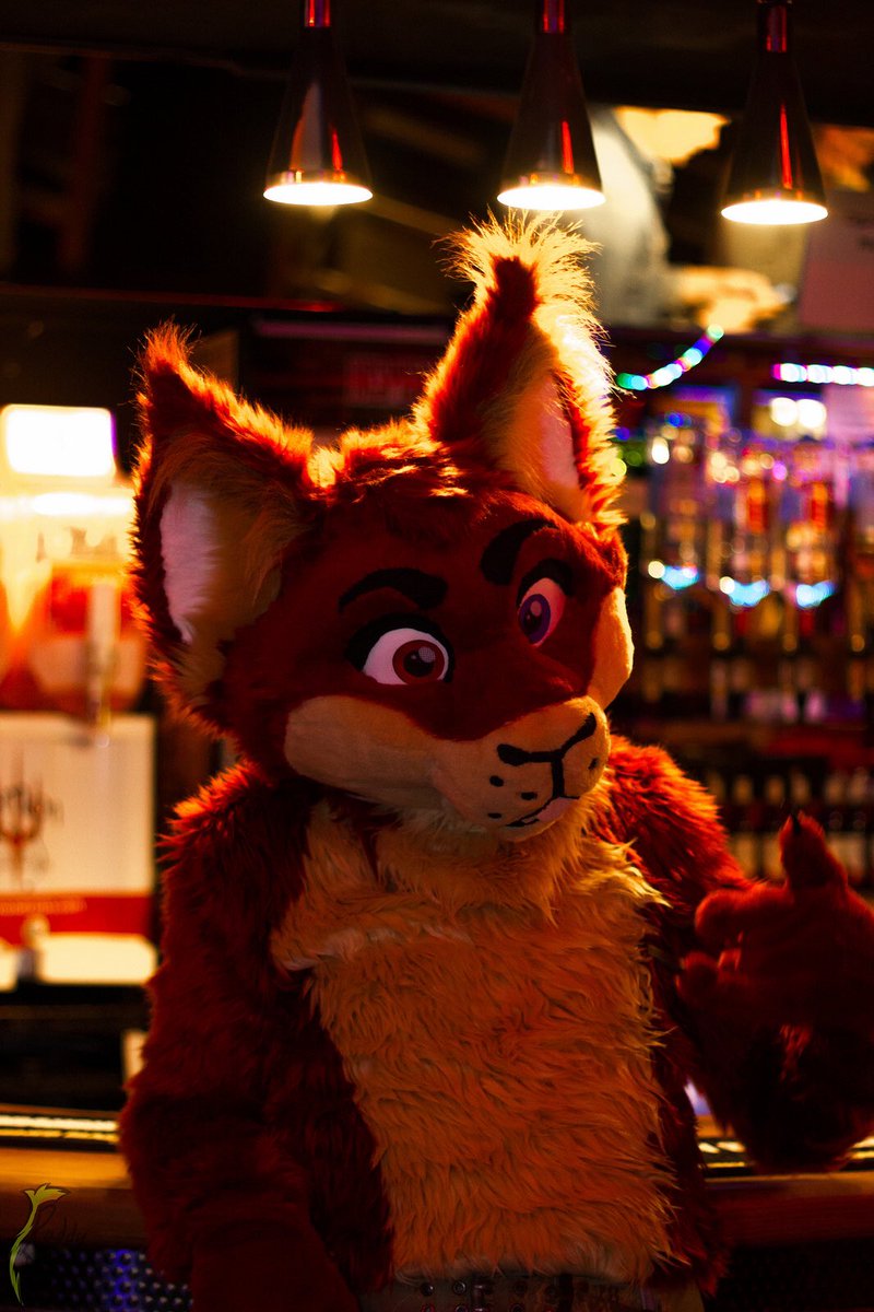 Evilsquirrel123's tweet photo. Beautiful shots from @Raddyfox #fursuitfriday @cutefursuits #datlightingtho https://t.co/X9BKR6GePC