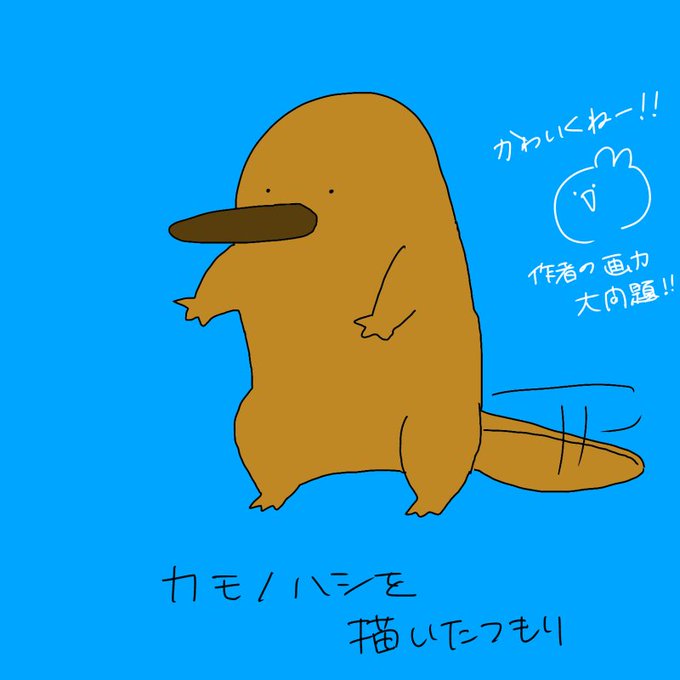 カモノハシのtwitterイラスト検索結果 古い順