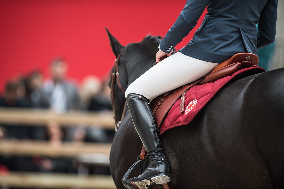 Hermes_Paris's tweet photo. The #SautHermes is now live at the Grand Palais in Paris. Follow the competition on https://t.co/HEBzvXXK6b https://t.co/LBpx0WpGzC