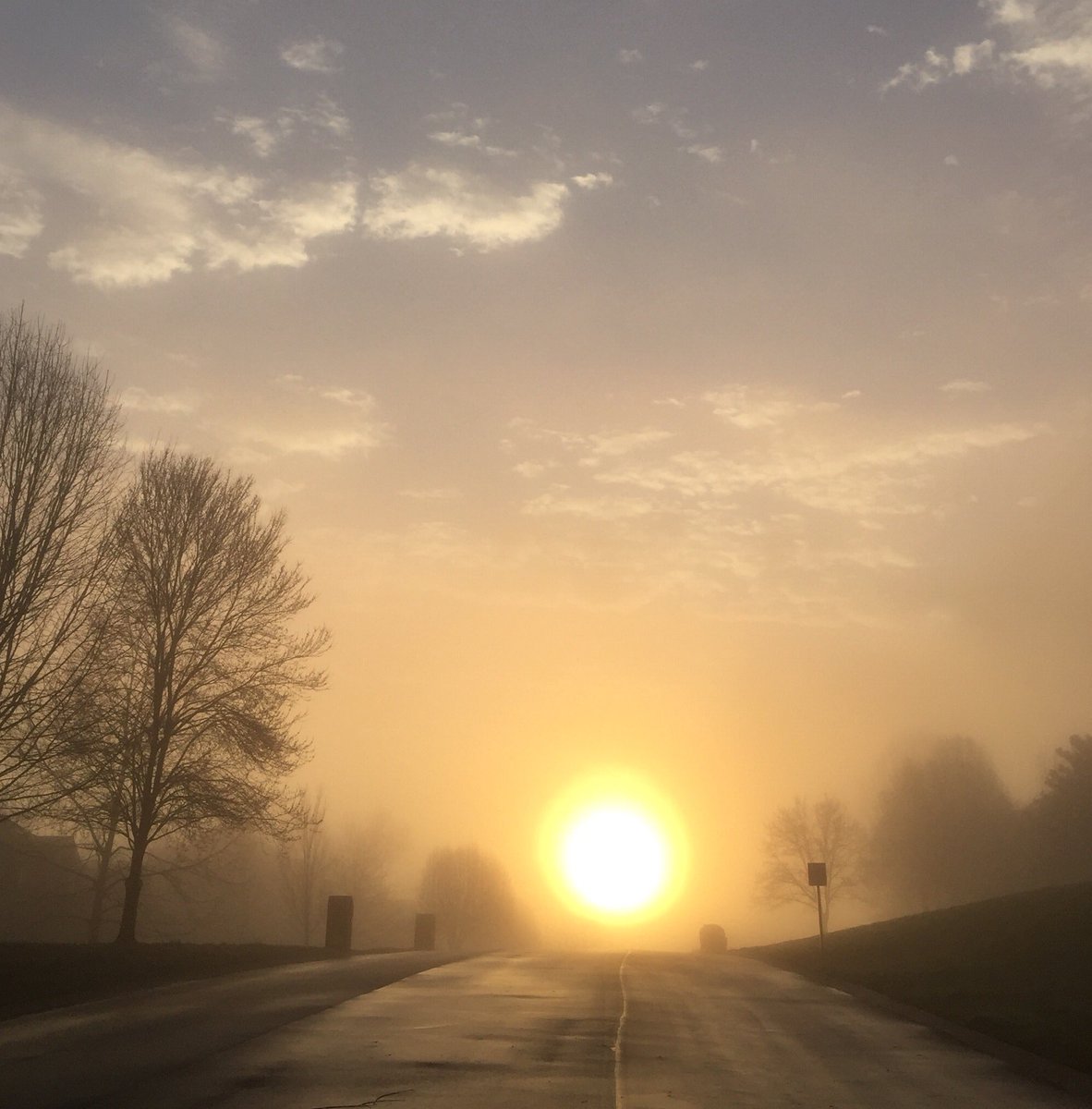thecafedbyd's tweet photo. #sunrise #Nashville #musiccity https://t.co/xafu5KBvfG