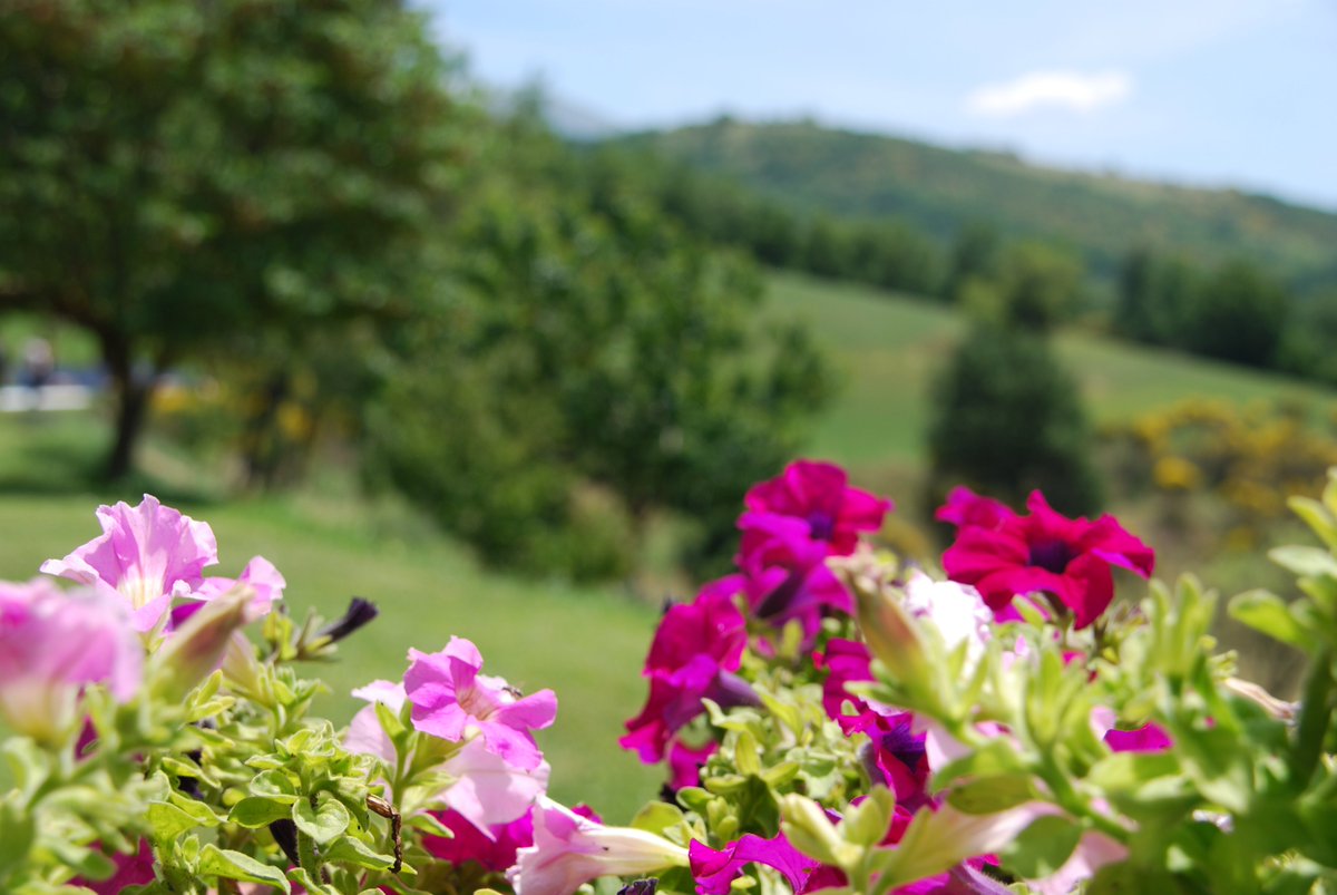 PASQUA in UMBRIA - OFFERTA 3 NOTTI al CASALE CAROCCI APPARTAMENTI PER VACANZE casalecarocci.com/italiano/agrit…