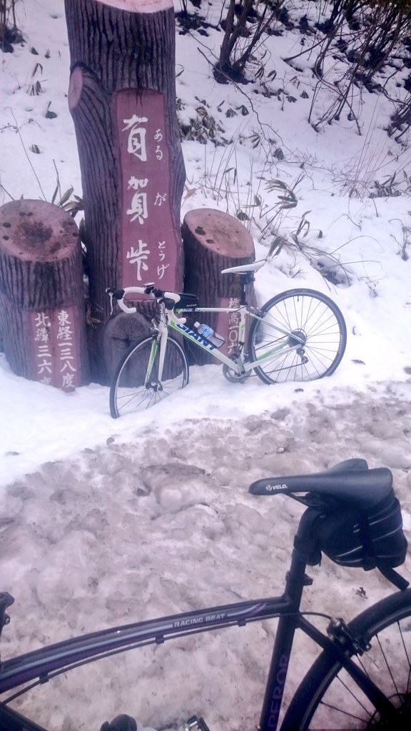 リハビリライドは総距離55.5キロでした 