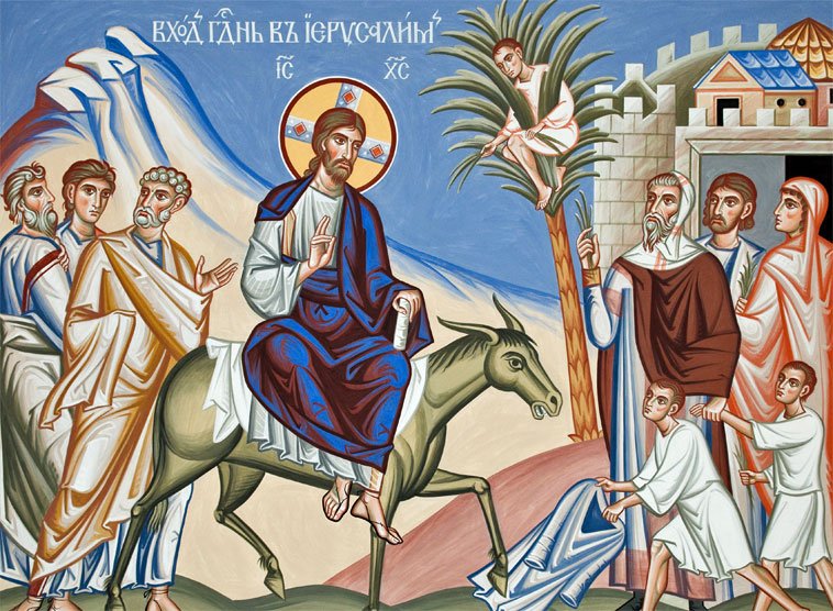 ErzdioezeseWien's tweet photo. Erfolg und Misserfolg ware schon bei #Jesus nah beinander, so @KardinalWien #Palmsonntag https://t.co/Oy3RryJedE https://t.co/j2lXTKEcLn