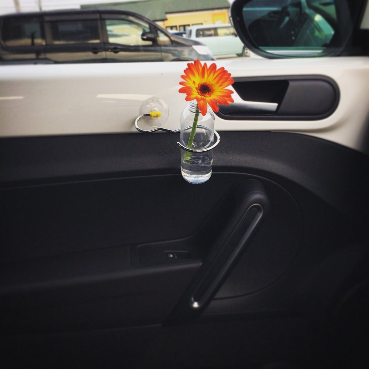 おぎおぎ ザビくんの内装百均でアレンジしてみたー 花はホーマックで買った花 T Co Pmwqy7rzlb